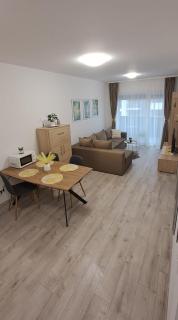 Apartament Royal 2 Arad - 7
