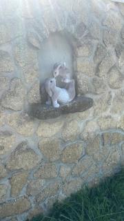 Studio les petits lutins - 7