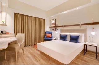 Hotel Red Plaza -Near Delhi Airport & Free Airport Drop - 1