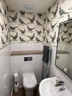 Luxury townhouse in Stirling - 1