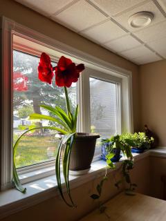 citadel cozy quilt private bedroom - 7