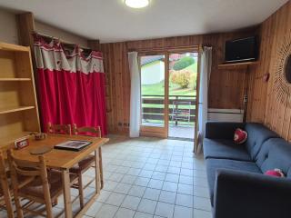 Studio charmant au coeur de Morillon, à 850m des télécabines, balcon, équipements complets, parking inclus - FR-1-624-60 - 1