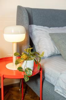 Central Retreat Arad - Cozy&Charming Apartment - 2