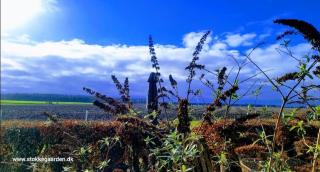 Stokkegaardens Hotel Apartments - 5