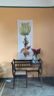 House with Jacuzzi near São Paulo - 6