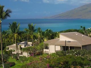 Wailea Ekolu Village 910 - 9