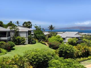 Wailea Ekolu Village 910 - 5