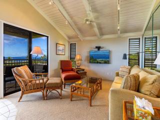 Wailea Ekolu Village 910 - 1