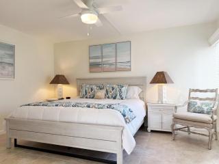 Tamarind – 2BR Condo with Lemon Bay Views - 3