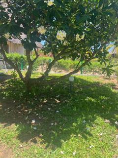 The Foxy Nests of Karibuni - Villa 184 & 145 - 6