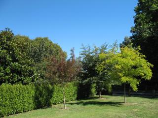 Karapiro Willows Luxury B & B - 1