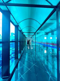 Jungle City Flat - 6