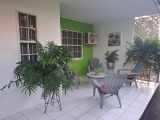 Tropical Palm Retreat - 4