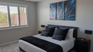 Blue Agave Dreams - 7