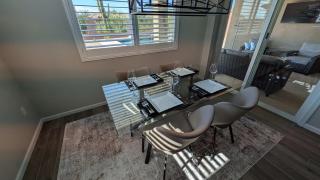 Blue Agave Dreams - 5