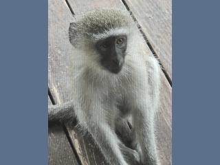 Kruger Boutique Backpackers - 3