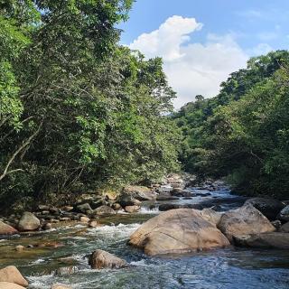 Santa Felicidade - a little piece of heaven in Itatiaia - 7