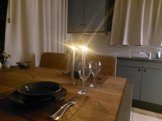 Luxe gastenverblijf met wellness in het hart van Friesland - 5