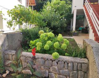 Olcsica Apartment - 3