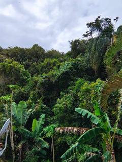 Apartamento de 2 Quartos para 4 Pessoas - 5 min da Praia - 8