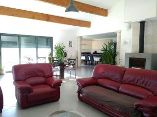 Villa Félines - Félines-Minervois - 1