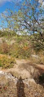 Villa Félines - Félines-Minervois - 2