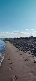 Villa Félines - Félines-Minervois - 6