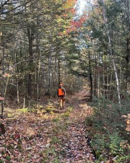 3 Bedroom Lakefront Cottage, OFSC & Trails Nearby - 6