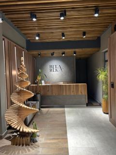 Apartman Snezni Vrh - Bela Reka, Brzece - 6