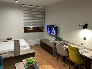 Apartman Snezni Vrh - Bela Reka, Brzece - 8