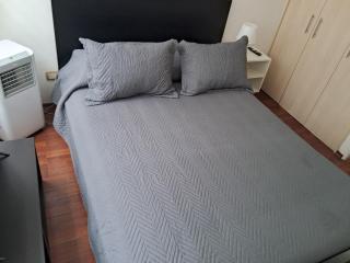 Depto Corazon de Santiago - 9