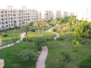 20 minutes ride to Grand Egyptian museum - 0