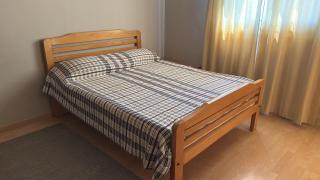 20 minutes ride to Grand Egyptian museum - 8