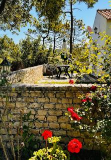 Mountain View 2 Bedroom Chalet - 2