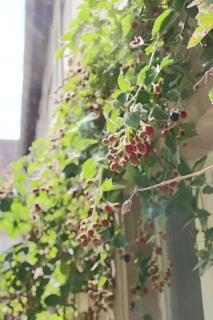 Gemütliches Schmuckstück mit zwei Schlafzimmern - 2