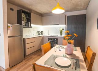 HOM I Centro de Providencia Metro SantaIsabel 2PAX - 1