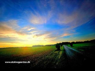Stokkegaardens Hotel Apartments - 9
