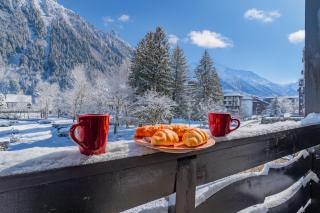 Chamonix Sud - Triolet A106 - Happy Rentals - 9