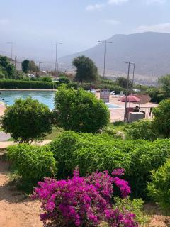 Appartement vue sur piscine et jardin - 2