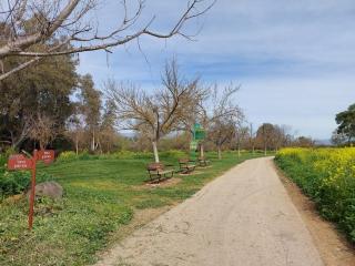 בדרך לנחל - 4