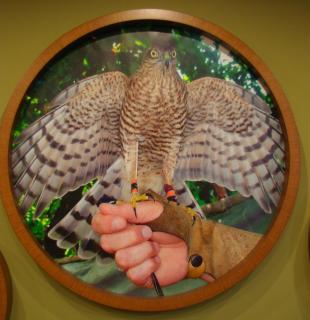 Hopa Heyamo Hotel - 3