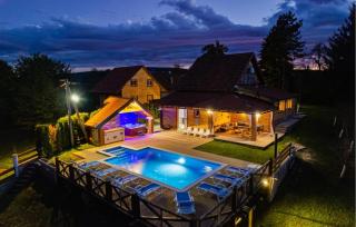 Pet Friendly Home In Gornje Dubrave With Sauna - 3