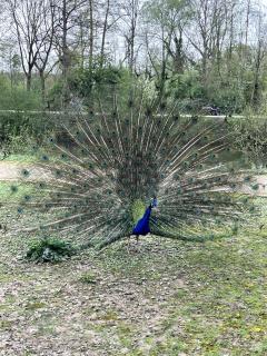 Modern house with garden - 20minutes to Düsseldorf - 2