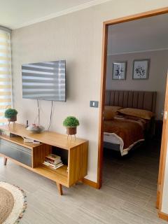 Deapartamento al Océano-Primer Linea ,Península Cavancha - 8