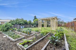 Boxed Bliss on Fox - 1