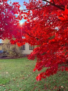 Penzion Villa Ancora - 4