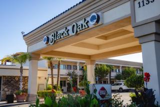Best Western Plus Black Oak - 0