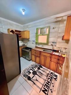 Modern Flat at Shiekh Zayed - 5