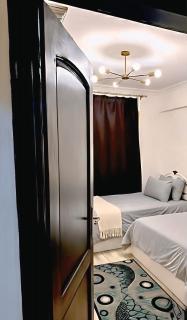 Modern Flat at Shiekh Zayed - 4