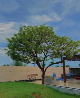 ATAIF ALNAMAAN FARM House - 8